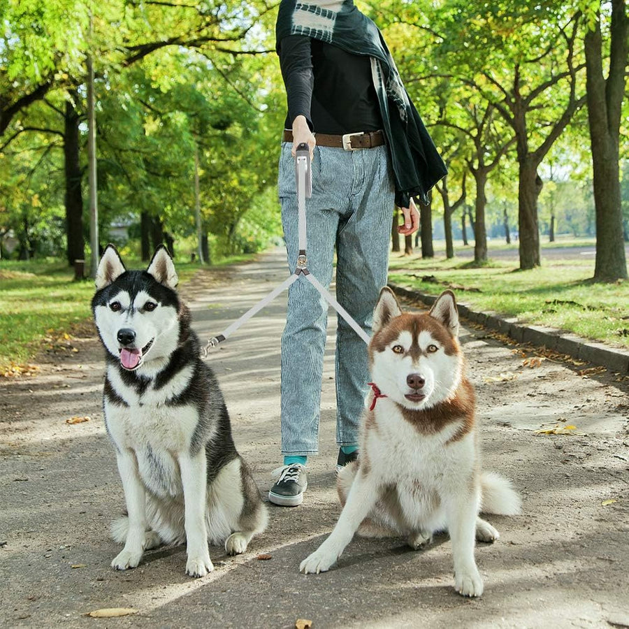 Pets